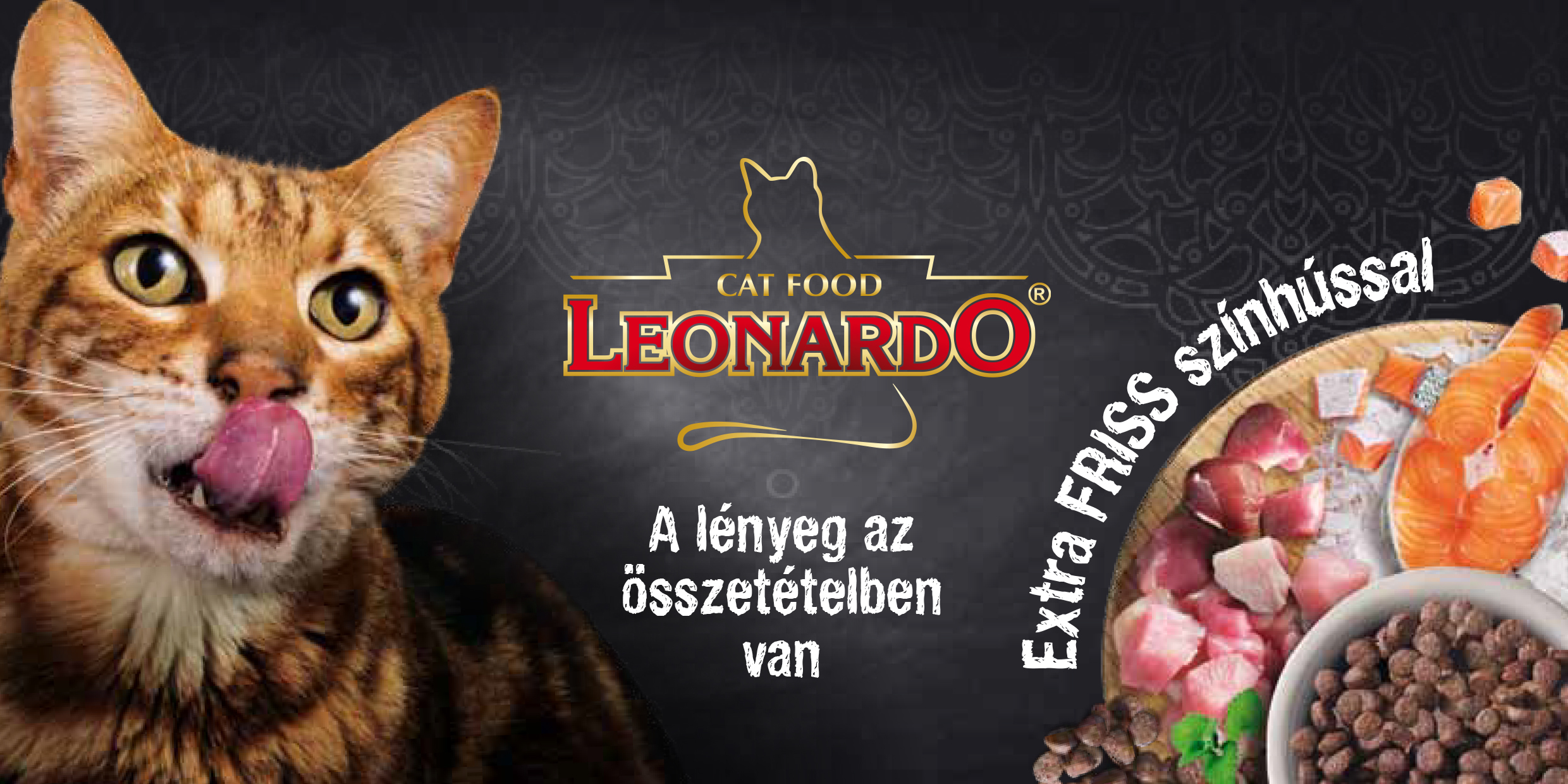 Leonardo Kitten - zoom