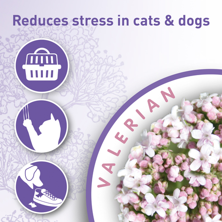 Beaphar Calming Home Spray - Nyugtató spray