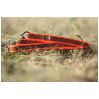 Julius-K9 Color & Gray póráz fogóval #8