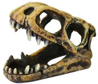 Happet craniu de dinozaur decor acvariu