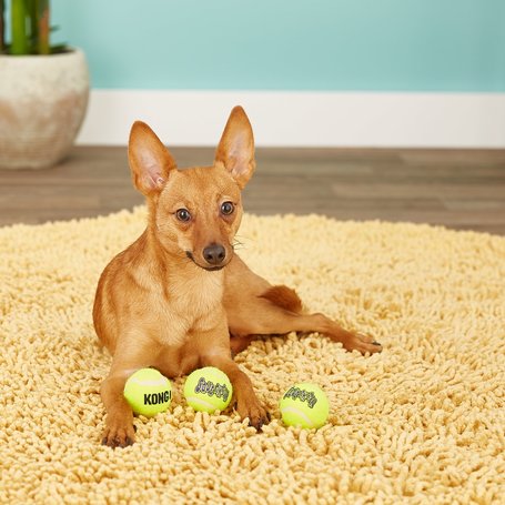 Kong Squeakair teniszlabdák