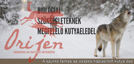 Tudj meg többet az Orijen kutyaeledelekről