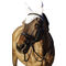 Covalliero Classic fülvédő lovaknak