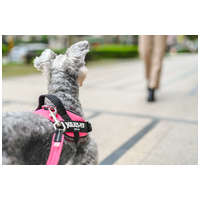 Julius-K9 IDC powAIR légáteresztő rózsaszín kutyahám #5