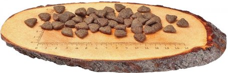 CarniLove Adult Salmon | Szuperprémium lazacos táp felnőtt kutyáknak