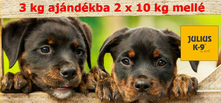 Ne maradj le, most 3 kg-ot adunk ajándékba két zsák 10 kg-os Julius-K9 kutyatáphoz