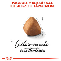 Royal Canin Ragdoll Adult - Ragdoll felnőtt macska száraz táp #3