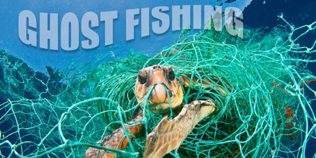 Trixie Be Nordic - Támogassuk a tengeri élővilág megóvását