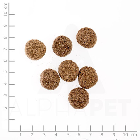 Belcando Senior Sensitive | Táp idős, érzékeny kutyáknak