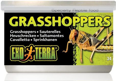 Exo Terra Grasshoppers – Puhára főzött kis szöcskék hüllőknek