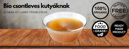 Food Studio – valódi gasztroélmény a tálban, mely a kutyák kedvence lett 🍲