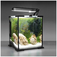 AquaEl Shrimp Set Day & Night #10