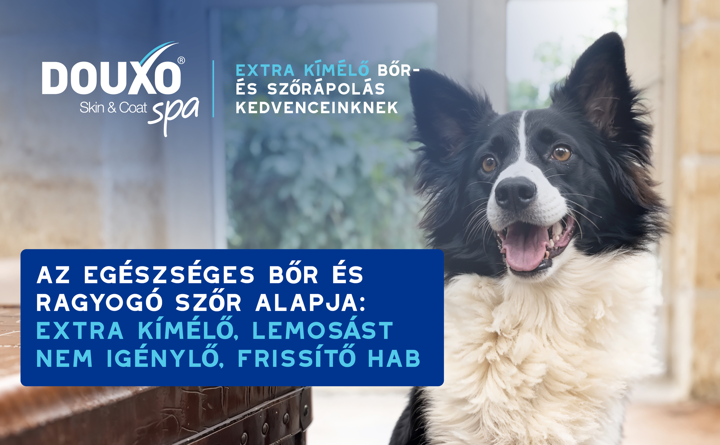 HU DouxoSpa QuickRefresh Mousse BTF Tile 1