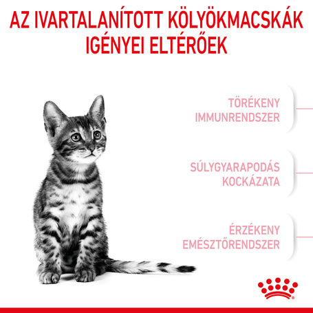 Royal Canin Kitten Sterilised - Ivartalanított kölyök macska száraz táp 12 hónapos korig