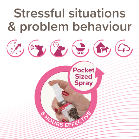 Beaphar CaniComfort feromonos nyugtató spray kutyáknak