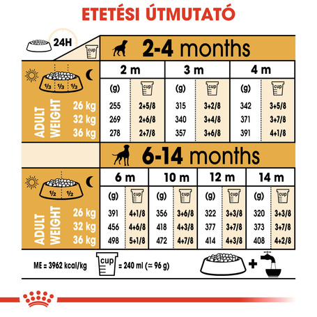 Royal Canin Boxer Junior - Boxer kölyök kutya száraz táp