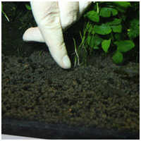 JBL Kugeln növénytáp golyók #9