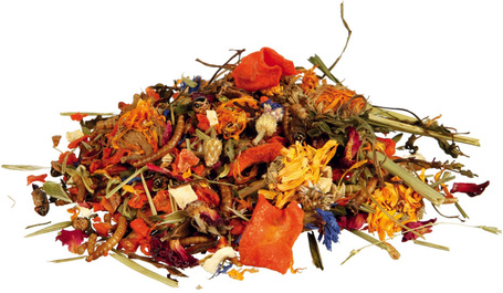 Trixie Reptiland természetes eleség szakállas agámáknak