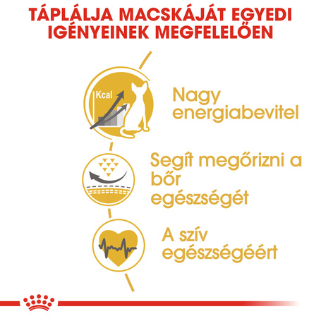 Royal Canin Sphynx Adult - Szfinx felnőtt macska száraz táp