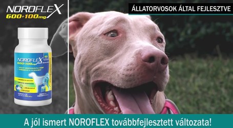 Noroflex ízületvédő
