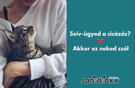 Sandboxx púder illatú ultra prémium csomósodó macskaalom