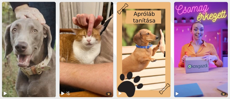 Mutasd meg kedvencedet és/vagy mondj véleményt a megvásárolt termékekről videóban