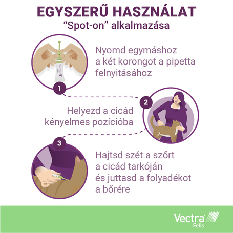 Vectra Felis bolhák elleni spot on macskáknak