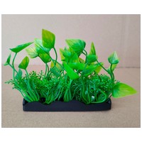 Zöld akváriumi műnövénytelep csésze formájú levelekkel és apró növényekkel