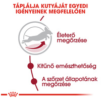 Royal Canin Medium Adult 7+ | Közepes testű idősödő kutya száraz táp #5