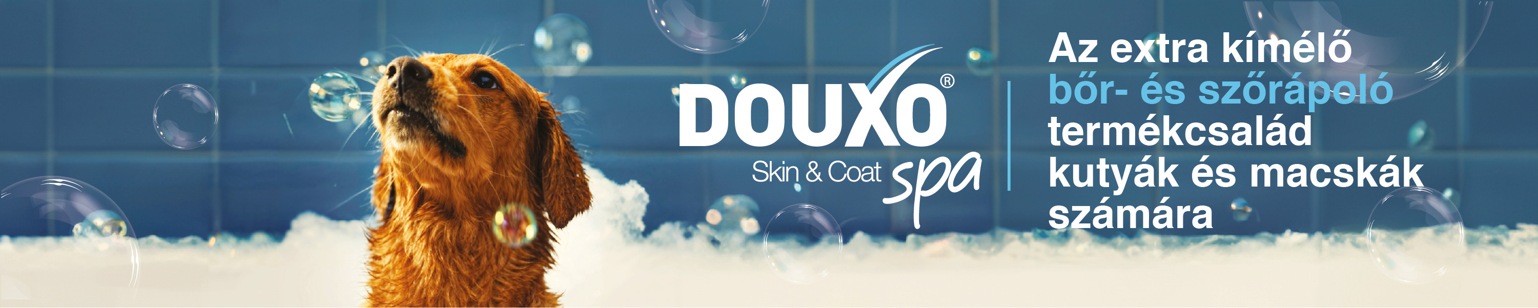 Douxo Spa