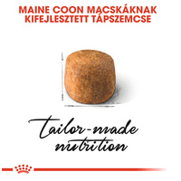 Royal Canin Maine Coon Adult - Maine Coon felnőtt macska száraz táp #3