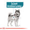 Royal Canin Maxi Joint Care - Száraz táp az izületek egészségéért, nagytestű felnőtt kutyák részére