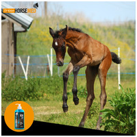 Horsemed Ice Gél gyógyhatású jéggél lovaknak #6