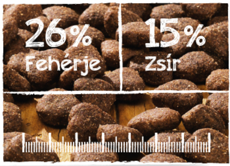 Belcando Junior Lamb & Rice | Bárányhúsos táp normál testméretű növendék kutyáknak