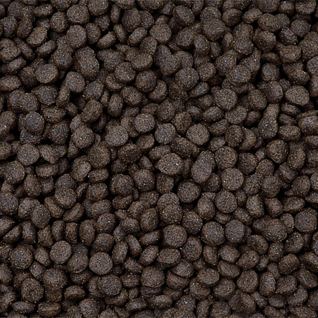 Sam's Field Adult Medium Fresh Chicken & Potato