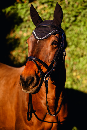 Covalliero Classic fülvédő lovaknak