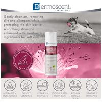 Dermoscent ATOP 7 Shampoo kutyáknak és macskáknak #4