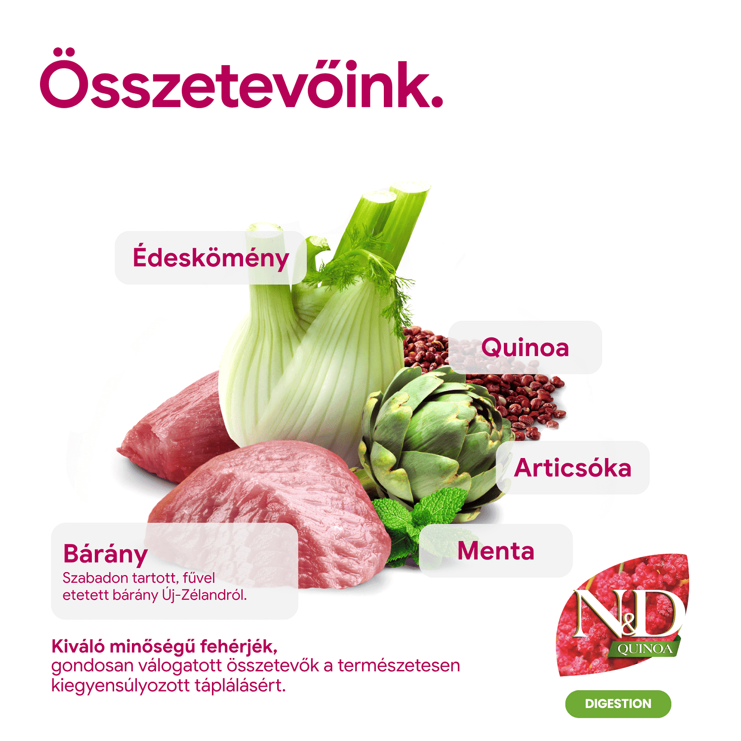 N&D Dog Grain Free Quinoa Digestion Lamb