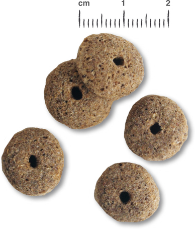 Belcando Adult Light száraztáp túlsúlyos kutyák részére