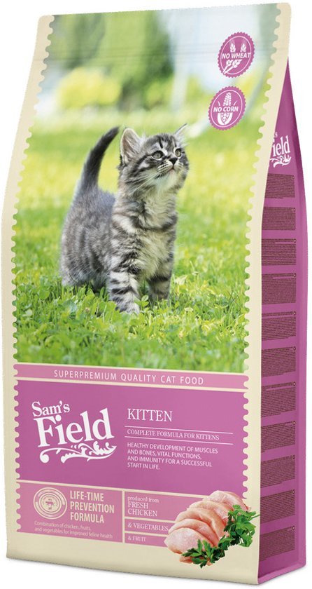 Sam's Field Cat Kitten - zoom