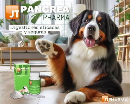 JT Pancrea Pharma por