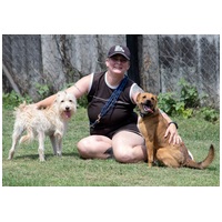 Aranyka, ivartalanított szuka kutyus #17