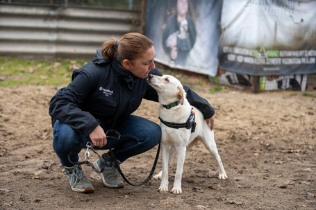 Odett, árva leány kutya