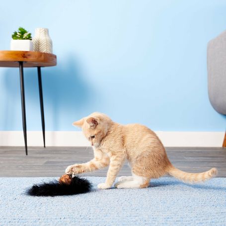 Kong Cat Wild Tails tollas labda