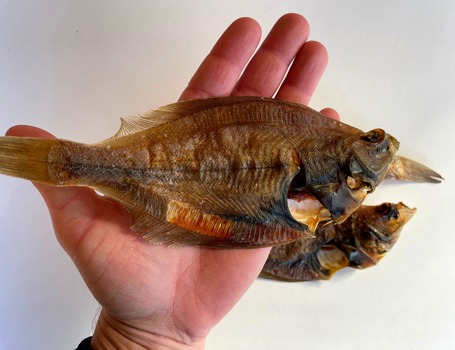 Barf Love egész lepényhal kutyáknak