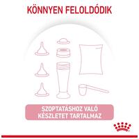 Royal Canin Babycat Milk - tejpótló tápszer kölyökmacska részére #5