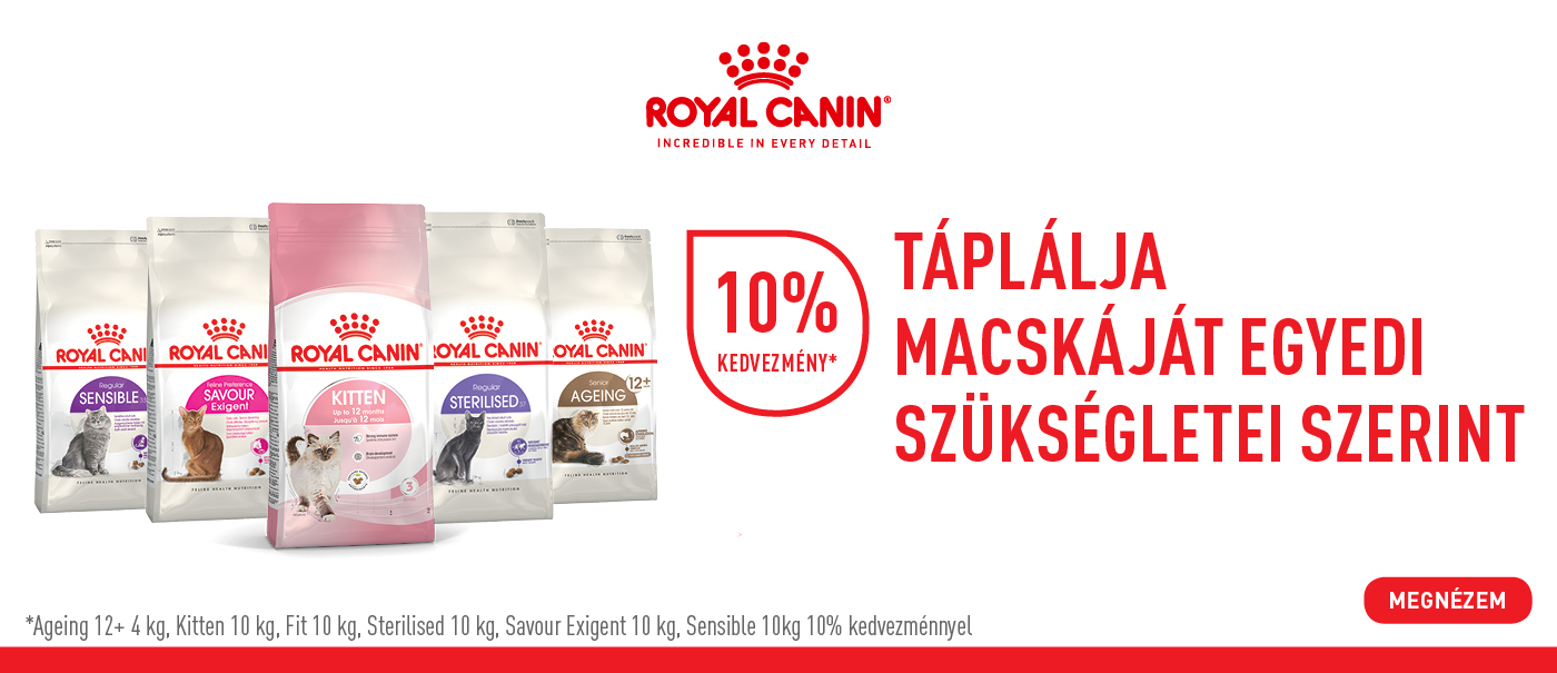 Royalmacska10