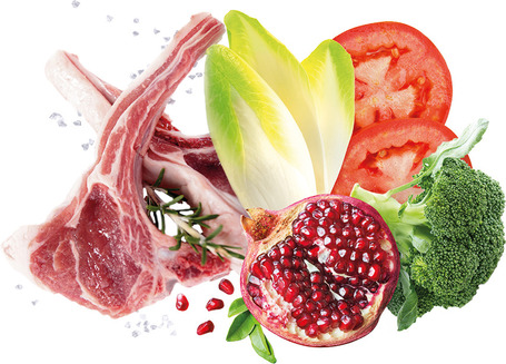 Exclusion Dog Mediterraneo Monoprotein Lamb Adult Large