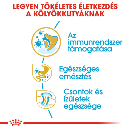 Royal Canin Bulldog Junior - Angol Bulldog kölyök kutya száraz táp