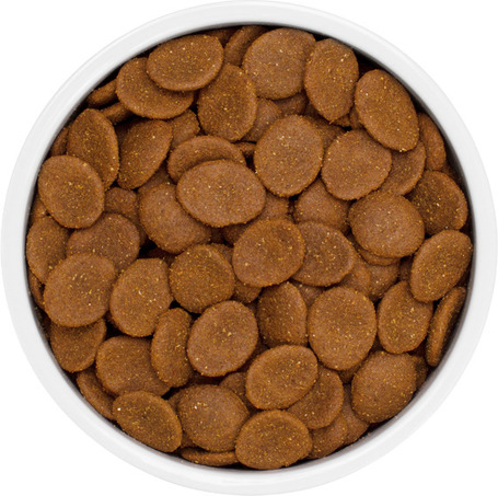 Eminent Maxi Junior | Táp nagytestű növendék kutyák részére